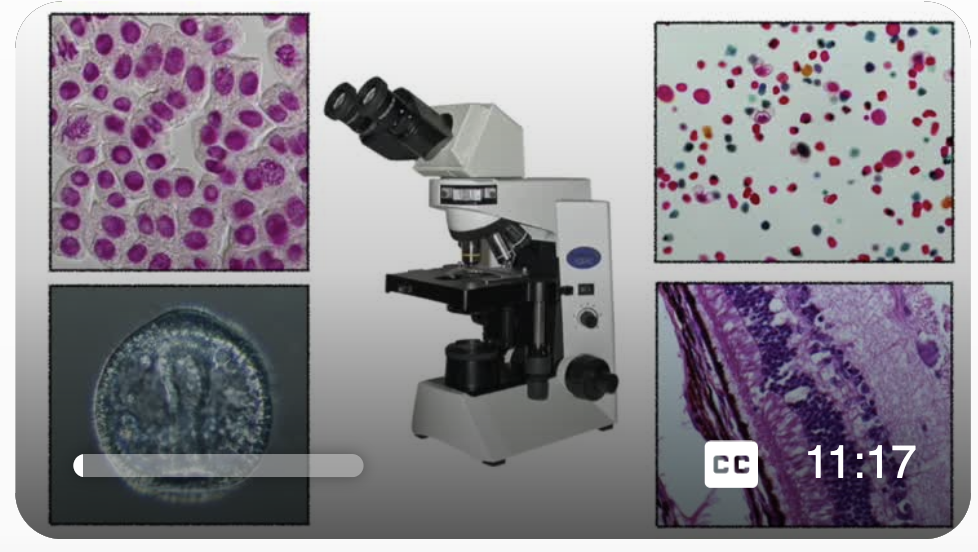 Compound Microscope Intro